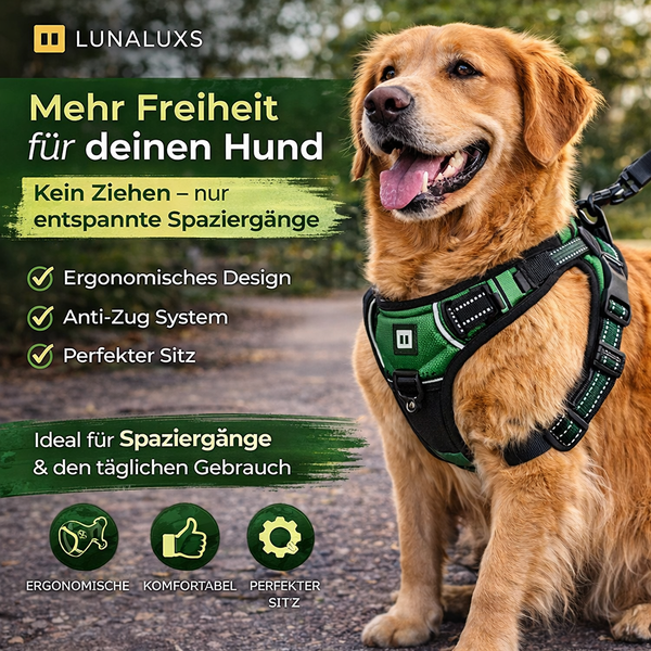 Komfortabler Hundegeschirr Leder Set für Hunde