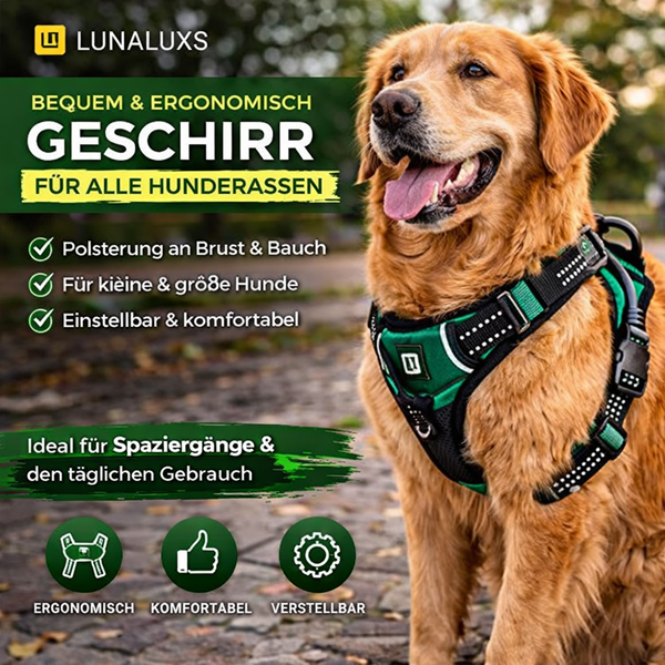Komfortabler Hundegeschirr Leder Set für Hunde